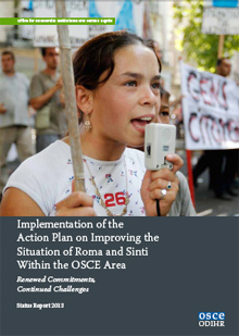 OSCE Report 2013