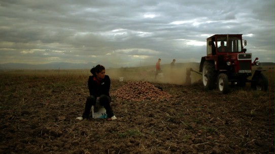 Berlinale 2014 (Foto: Berlinale)