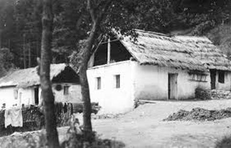 Roma-Siedlung im Burgenland (Foto: Bgld. Landesarchiv, via volksgruppen.orf.at)
