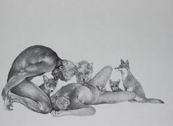 Aus der Serie "Im Schlaf", Robert Gabris (Fineliner 0,2mm auf 40 x 60 cm Papier April 2014, Wien)