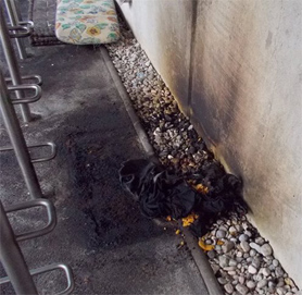 Brandanschlag auf Bettler-Schlafstelle in Salzburg (Foto: Raim Schobesberger/Phurdo)