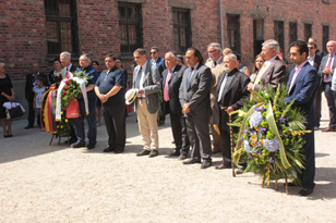 Auschwitz 2015 (Foto: Stowarzyszenie Romów w Polsce)