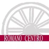 Offener Brief des Romano Centro, Wien